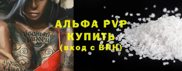 стафф Елизово