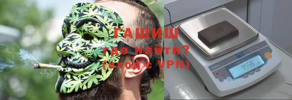 молекула духа Ельня