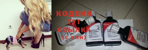стафф Елизово