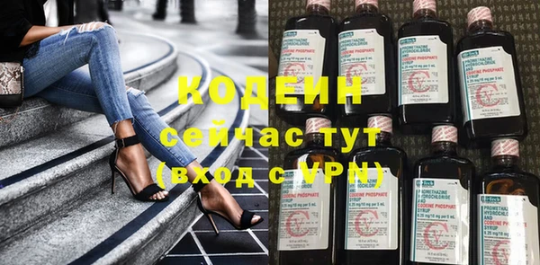 молекула духа Ельня