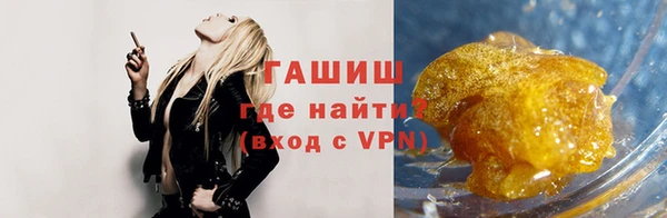 молекула духа Ельня