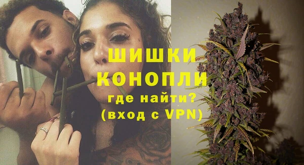 стафф Елизово