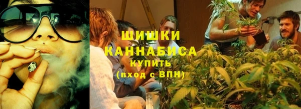 стафф Елизово