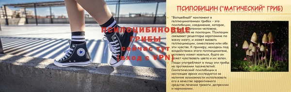 молекула духа Ельня