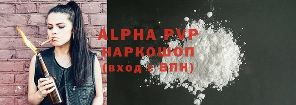 стафф Елизово