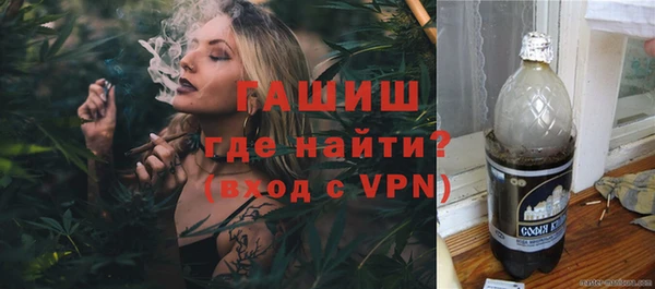 молекула духа Ельня