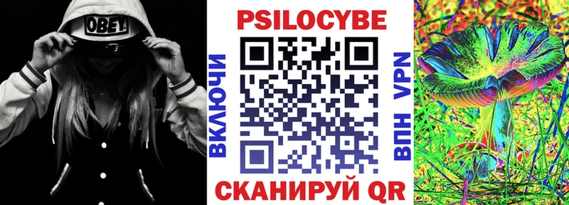 Псилоцибиновые грибы прущие грибы  Купить закладки  Грязовец 