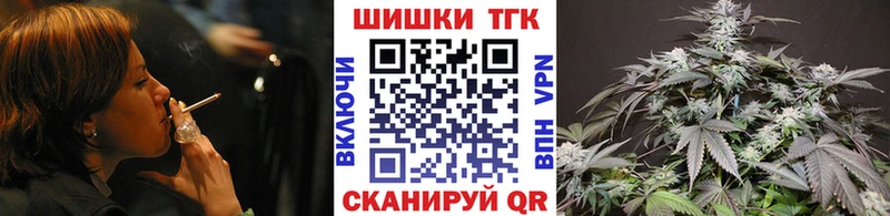Купить  Грязовец  Канабис сатива 